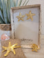 Aretes, brazalete y anillo-Estrellas de Mar