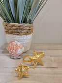 Aretes, brazalete y anillo-Estrellas de Mar