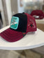 Gorra delfines